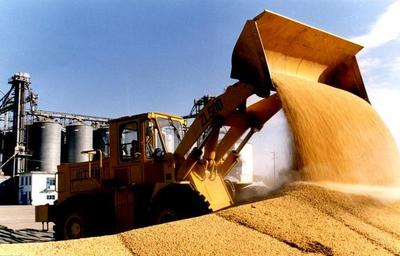 解读粮食消费大数据 端稳饭碗，品味变迁中的粮食加工