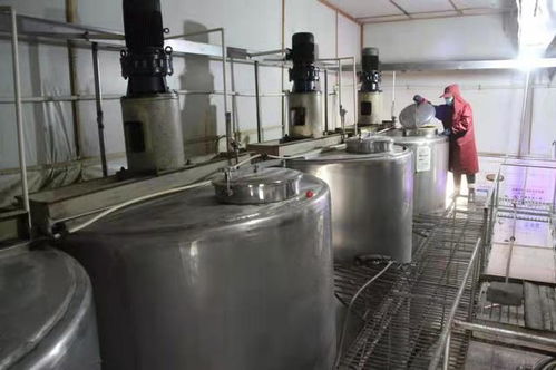 山西阳城 深耕粮食加工链条，赋能乡村产业振兴