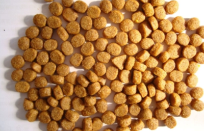 宠物粮食加工厂 机遇、挑战与前景分析